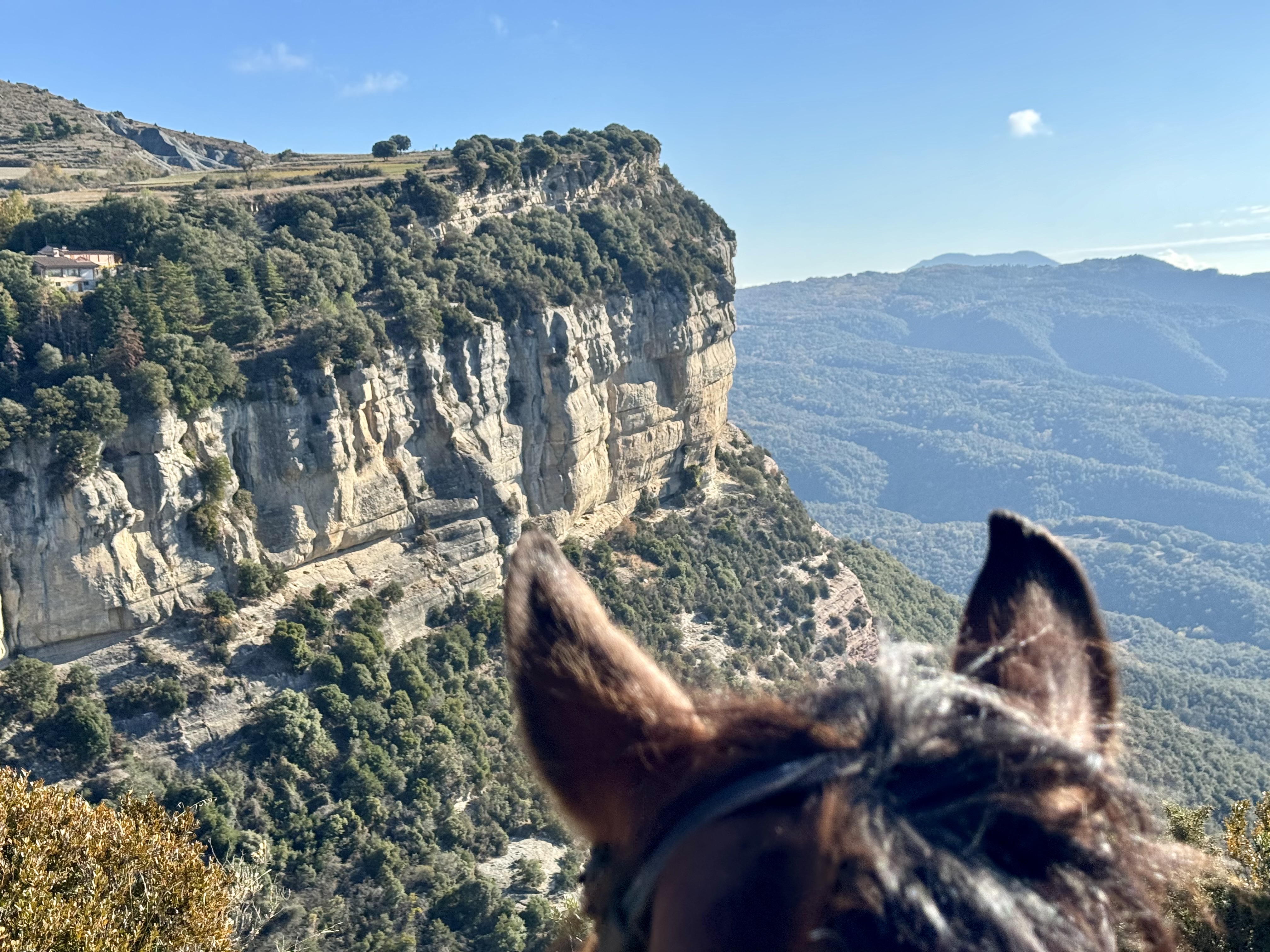 8-daagse paardrijtocht door kloven, tafelbergen en vulkanisch landschap in Catalonië - Spanje - Afbeelding 4