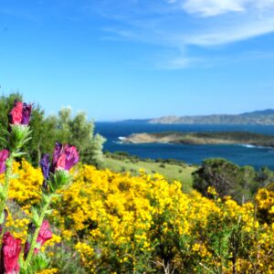 8-daagse paardrijtocht van het Catalaanse binnenland naar de Middellandse Zee Catalonië - Spanje - Afbeelding 15