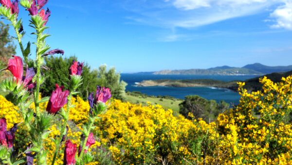 8-daagse paardrijtocht van het Catalaanse binnenland naar de Middellandse Zee Catalonië - Spanje