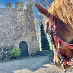 8-daagse paardrijtocht van het Catalaanse binnenland naar de Middellandse Zee Catalonië - Spanje - Afbeelding 3