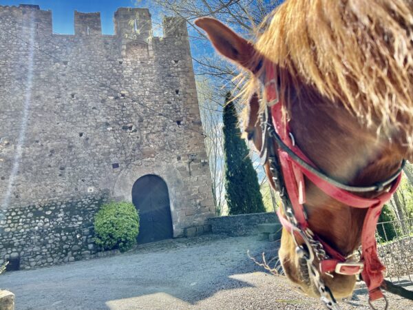 8-daagse paardrijtocht van het Catalaanse binnenland naar de Middellandse Zee Catalonië - Spanje