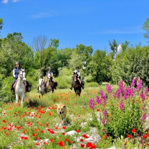 8-daagse paardrijtocht van het Catalaanse binnenland naar de Middellandse Zee Catalonië - Spanje - Afbeelding 2