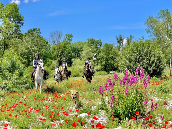8-daagse paardrijtocht van het Catalaanse binnenland naar de Middellandse Zee Catalonië - Spanje