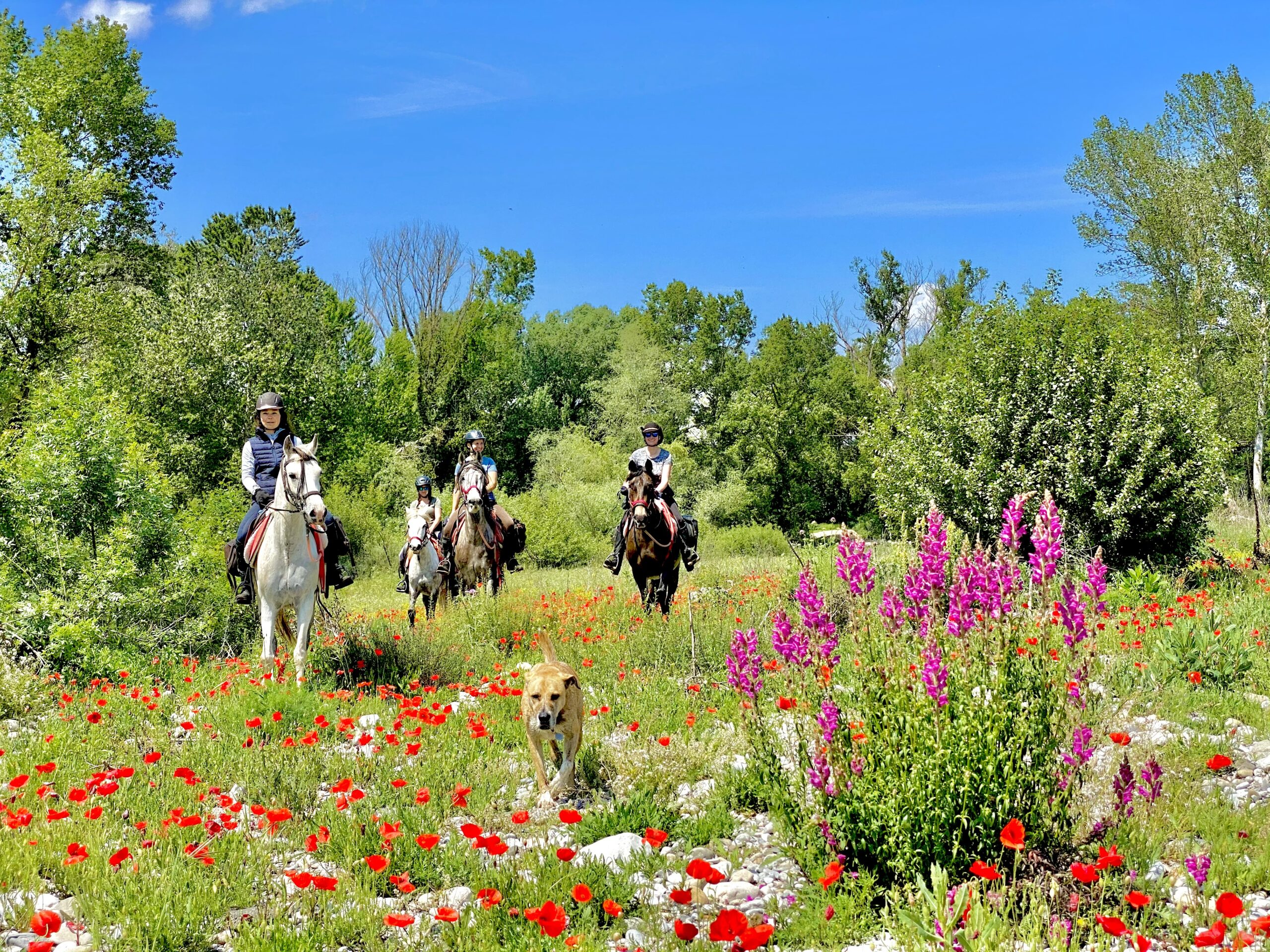 8-daagse paardrijtocht van het Catalaanse binnenland naar de Middellandse Zee Catalonië - Spanje - Afbeelding 2