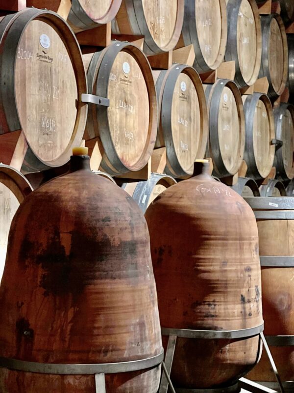 8-daagse paardrijtocht van het Catalaanse binnenland naar de Middellandse Zee Catalonië - Spanje