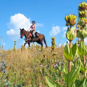 8-daagse paardrijtocht van de Costa Brava naar de hoge Pyreneeën Catalonië - Spanje - Afbeelding 10