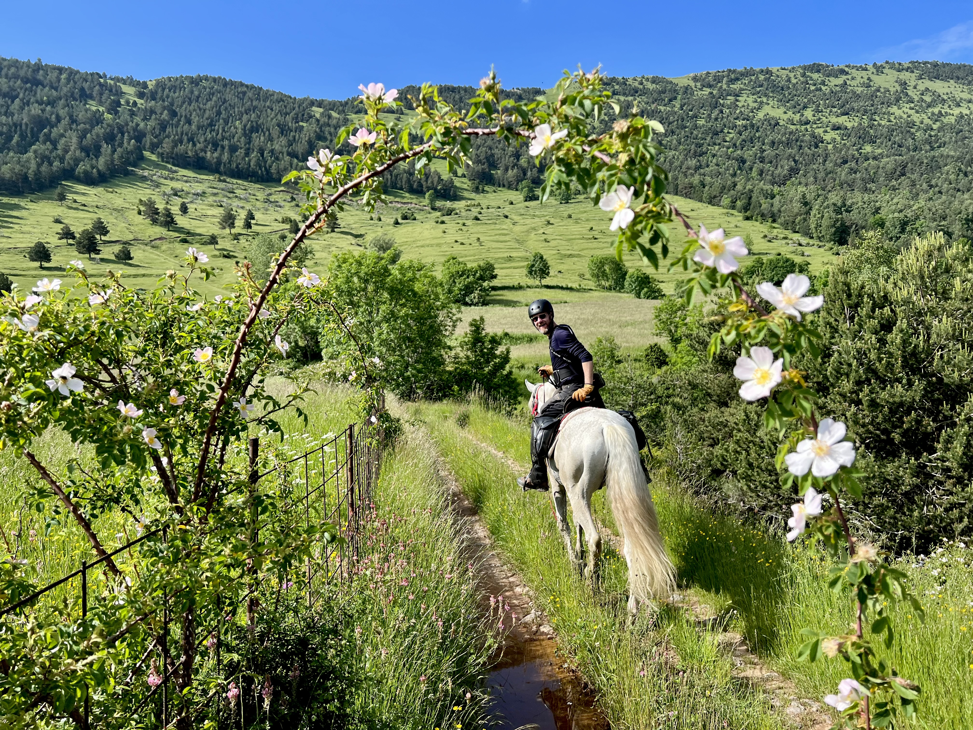 8-daagse paardrijtocht van de Costa Brava naar de hoge Pyreneeën Catalonië - Spanje - Afbeelding 7