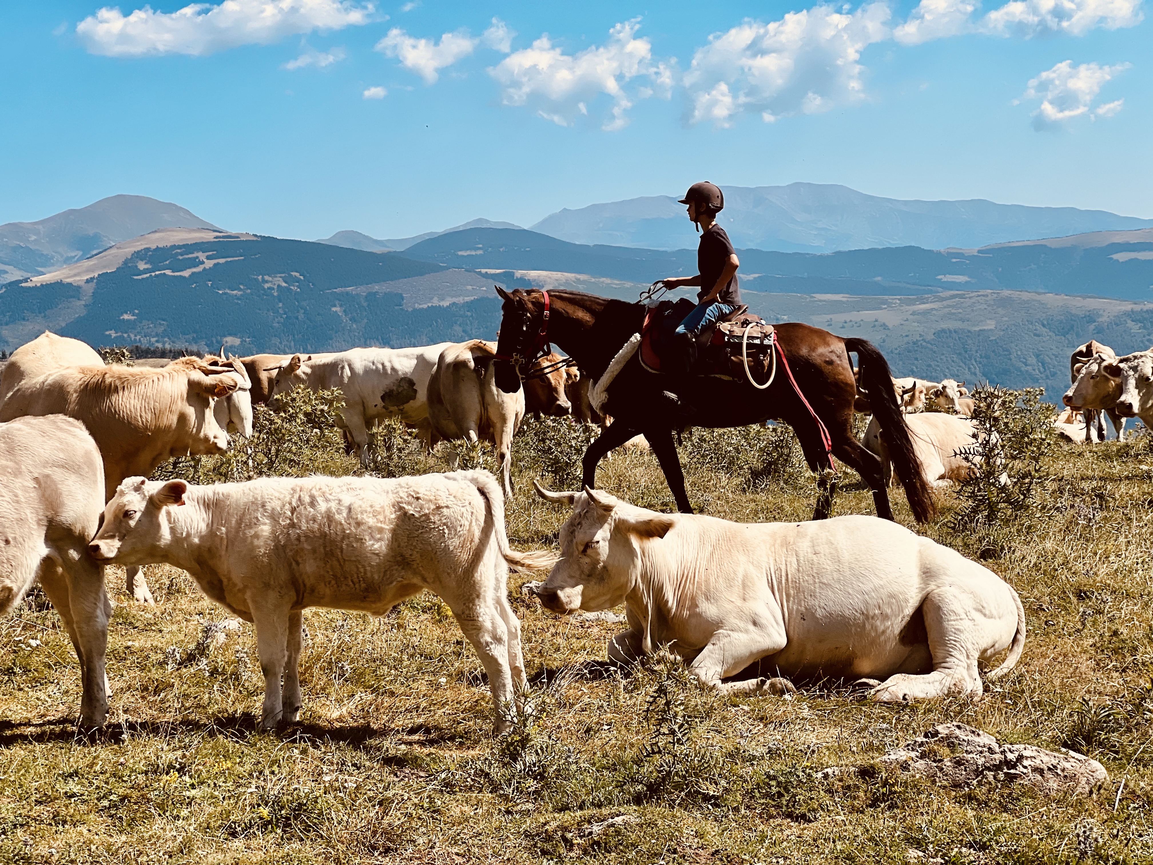 8-daagse paardrijtocht van de Costa Brava naar de hoge Pyreneeën Catalonië - Spanje - Afbeelding 4