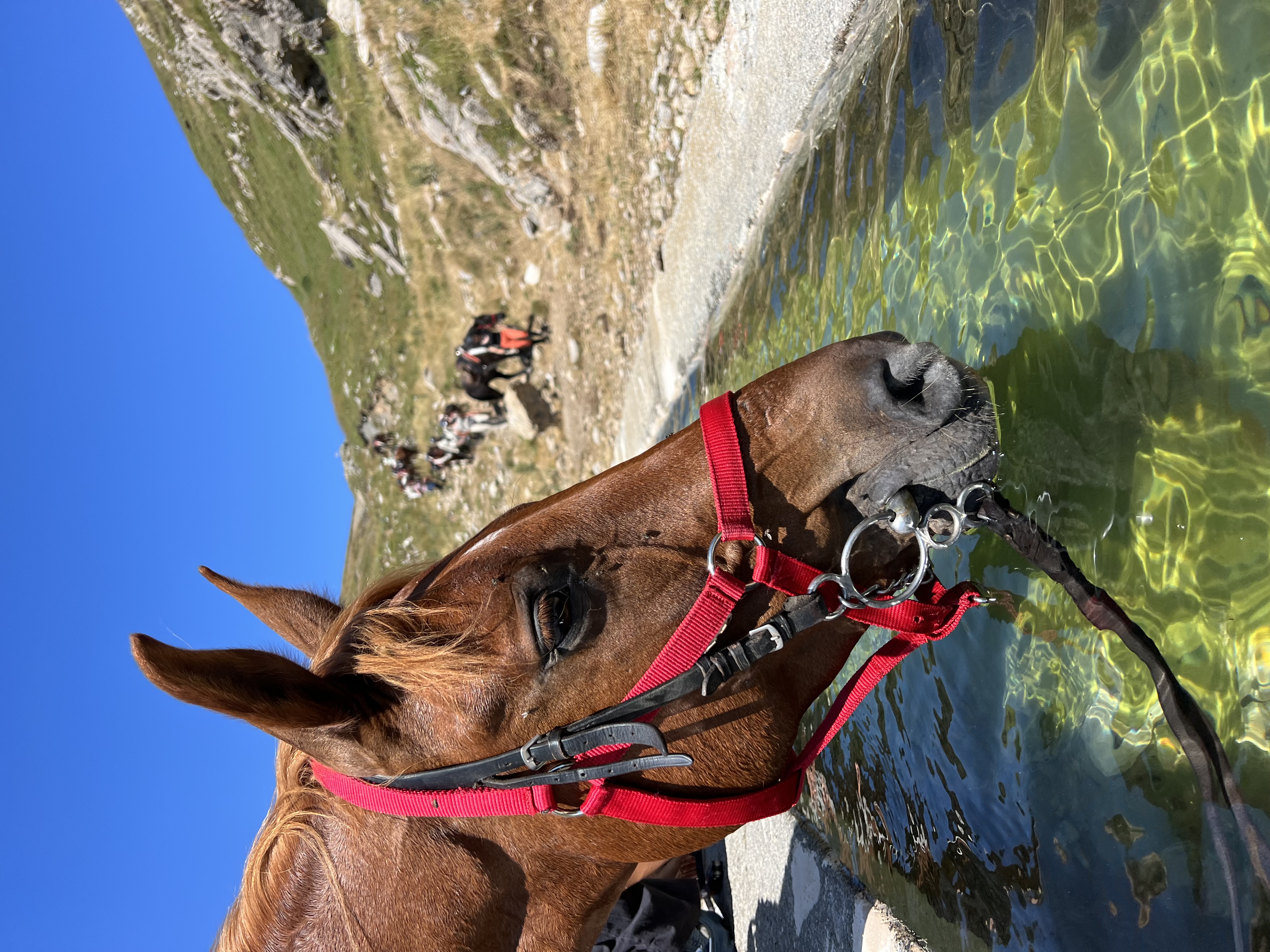 8-daagse paardrijtocht van de Costa Brava naar de hoge Pyreneeën Catalonië - Spanje - Afbeelding 3