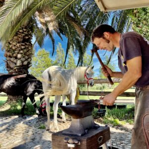 7-daagse paardrijtocht langs de horizon van de Costa Brava - Spanje - Afbeelding 2