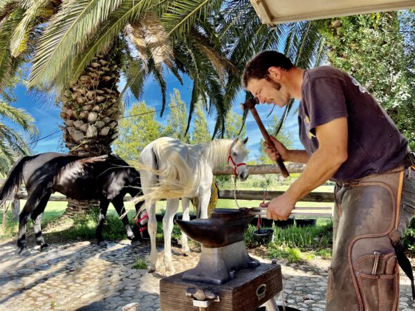 7-daagse paardrijtocht langs de horizon van de Costa Brava - Spanje