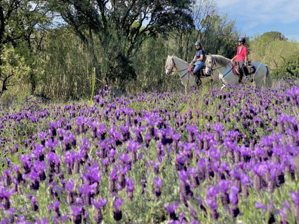 7-daagse paardrijtocht langs de horizon van de Costa Brava - Spanje