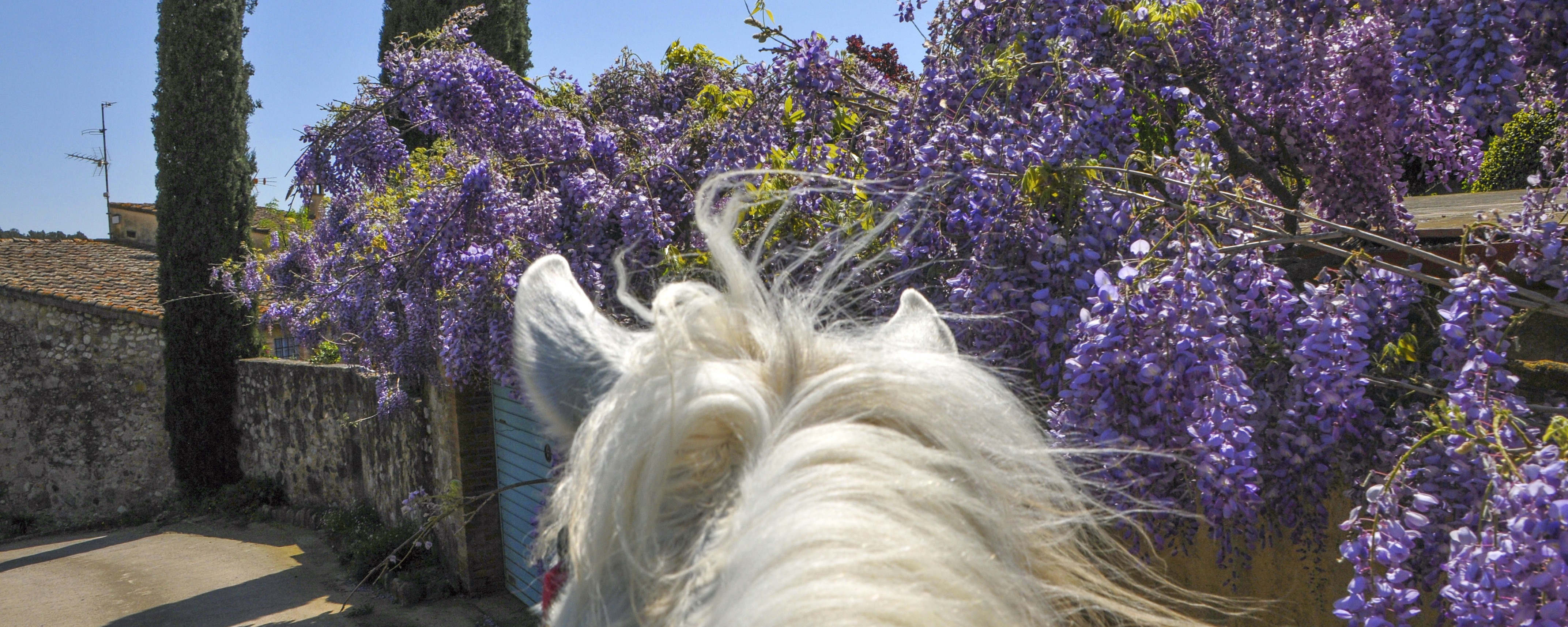 7-daagse paardrijtocht langs de horizon van de Costa Brava - Spanje - Afbeelding 7