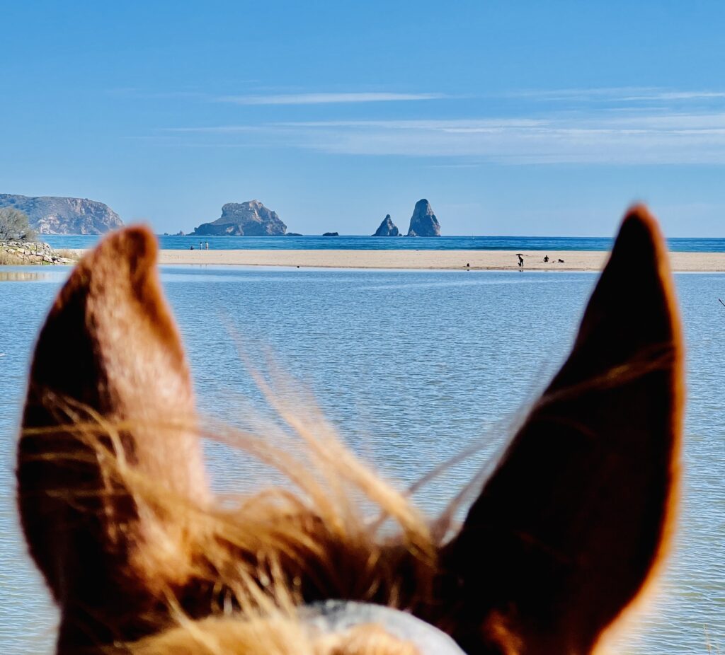 7-daagse paardrijtocht Middellandse Zee route Catalonië - Spanje