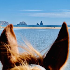 7-daagse paardrijtocht Middellandse Zee route Catalonië - Spanje