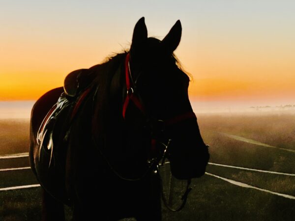 7-daagse paardrijtocht Middellandse Zee route Catalonië - Spanje