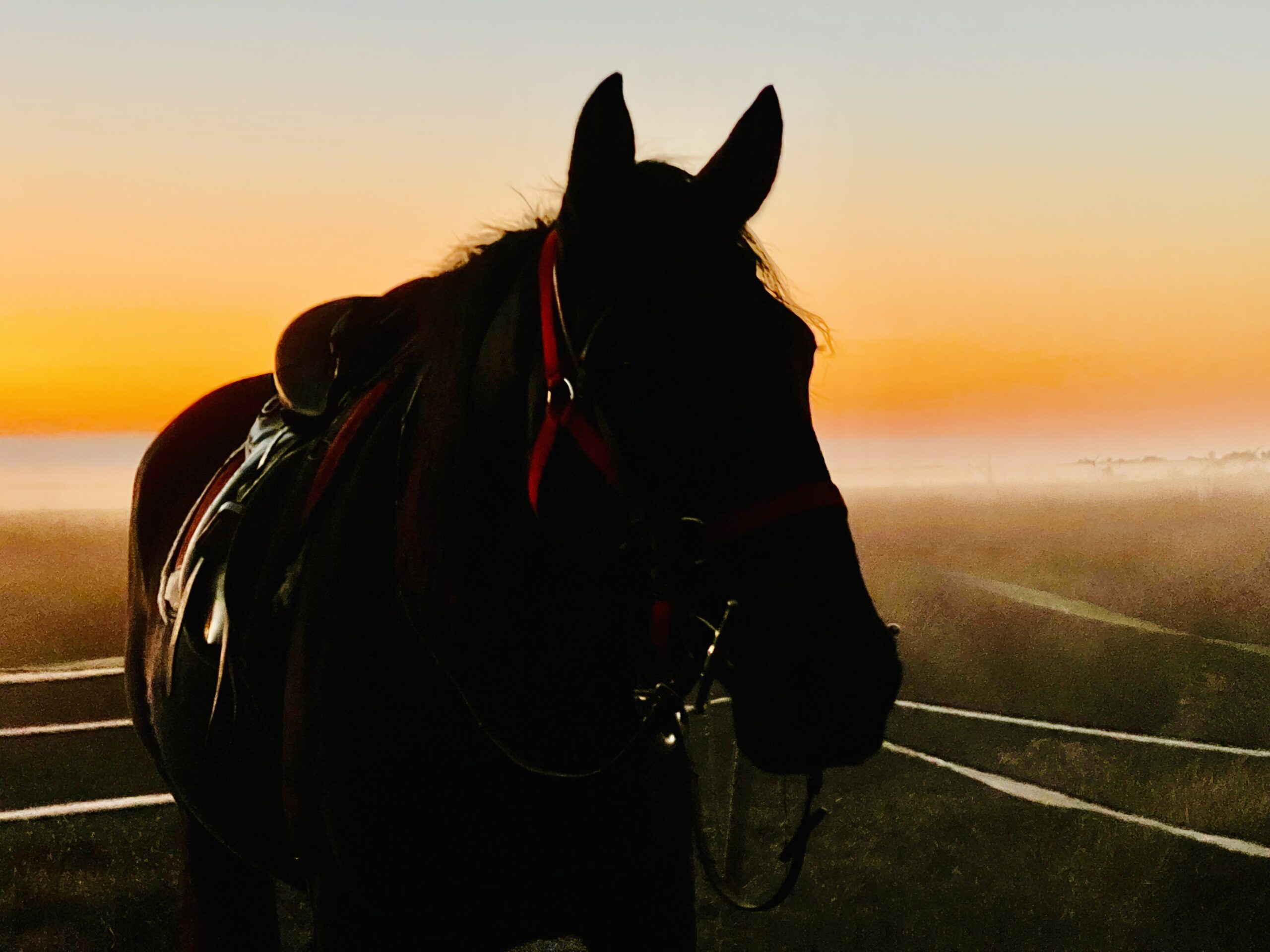 7-daagse paardrijtocht Middellandse Zee route Catalonië - Spanje - Afbeelding 10