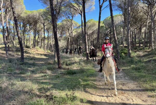 7-daagse paardrijtocht Middellandse Zee route Catalonië - Spanje