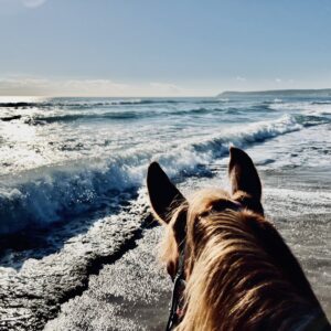 7-daagse paardrijtocht Middellandse Zee route Catalonië - Spanje - Afbeelding 3