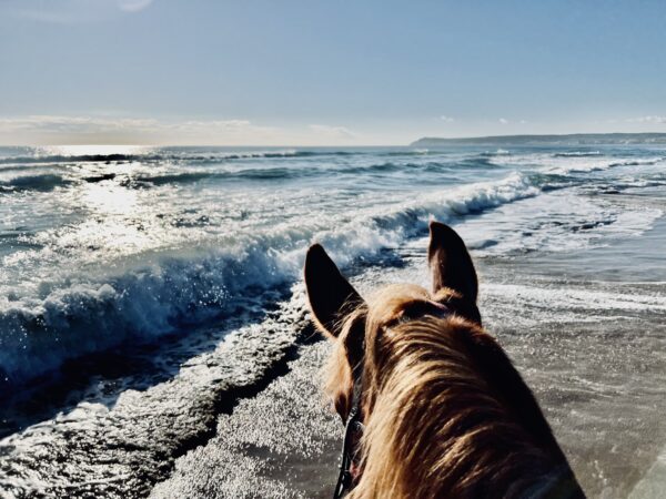7-daagse paardrijtocht Middellandse Zee route Catalonië - Spanje