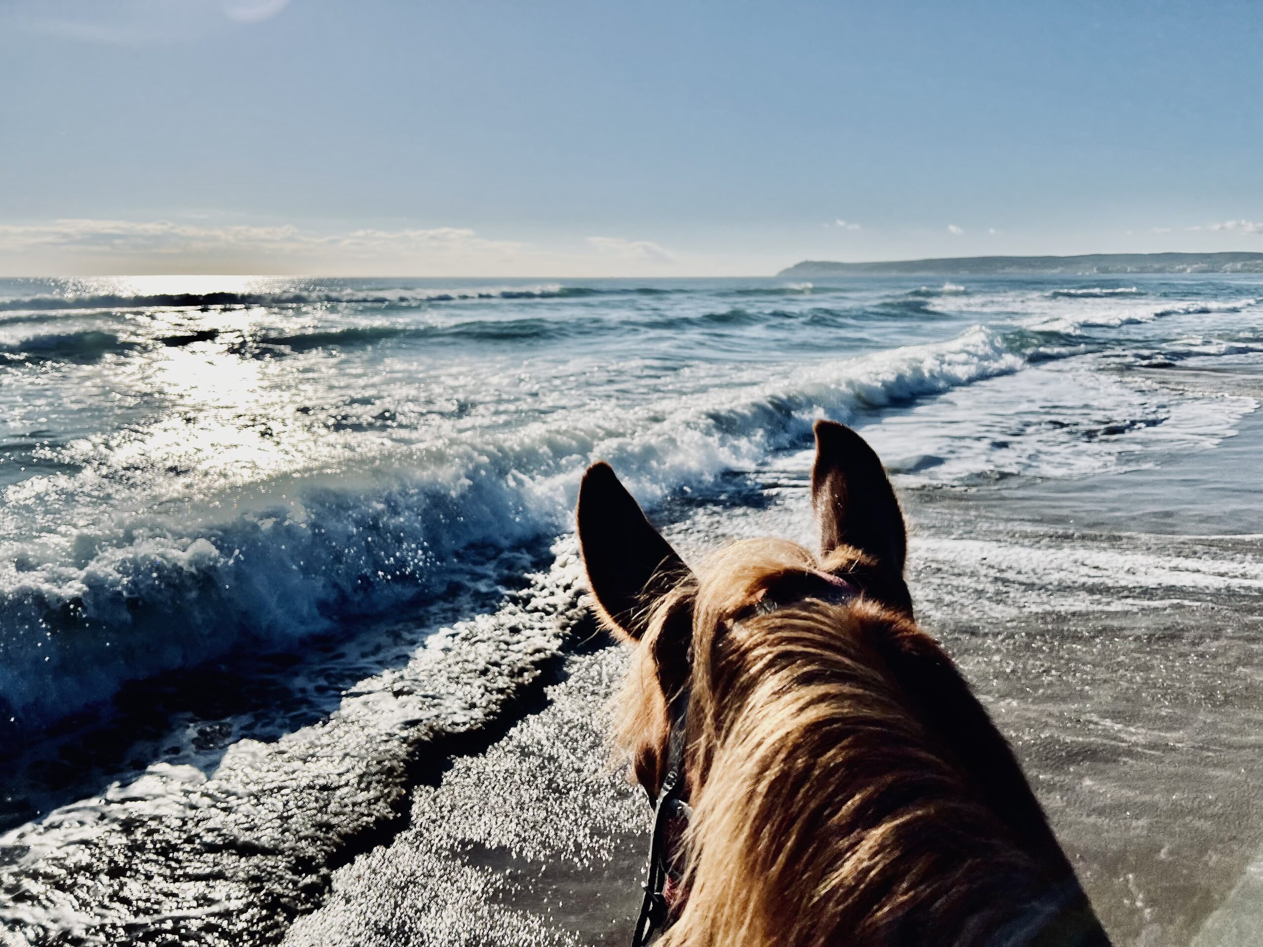 7-daagse paardrijtocht Middellandse Zee route Catalonië - Spanje - Afbeelding 3