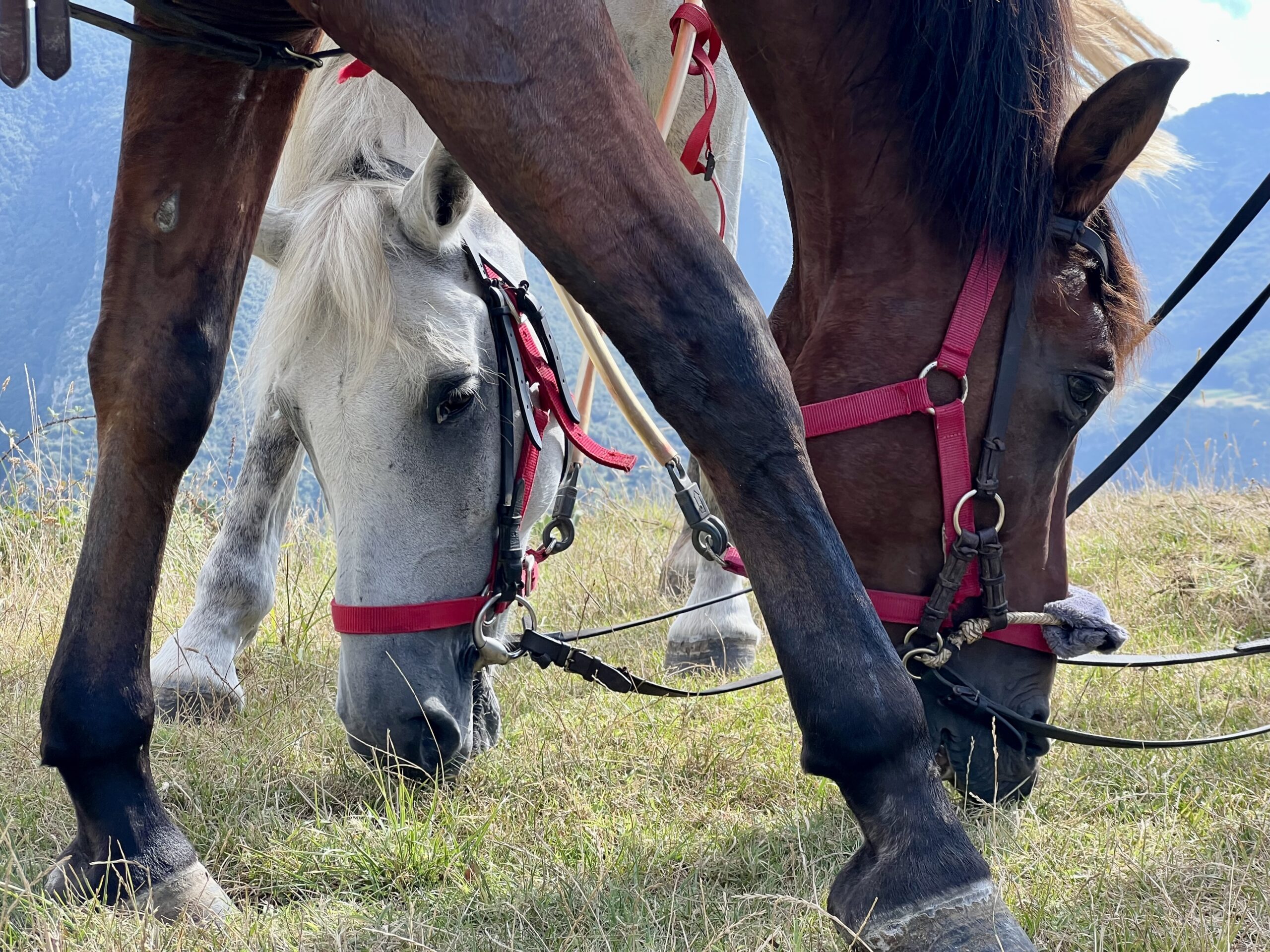 7-daagse paardrijtocht berg en kust grensoverstekend pad - Spanje en Frankrijk - Afbeelding 2