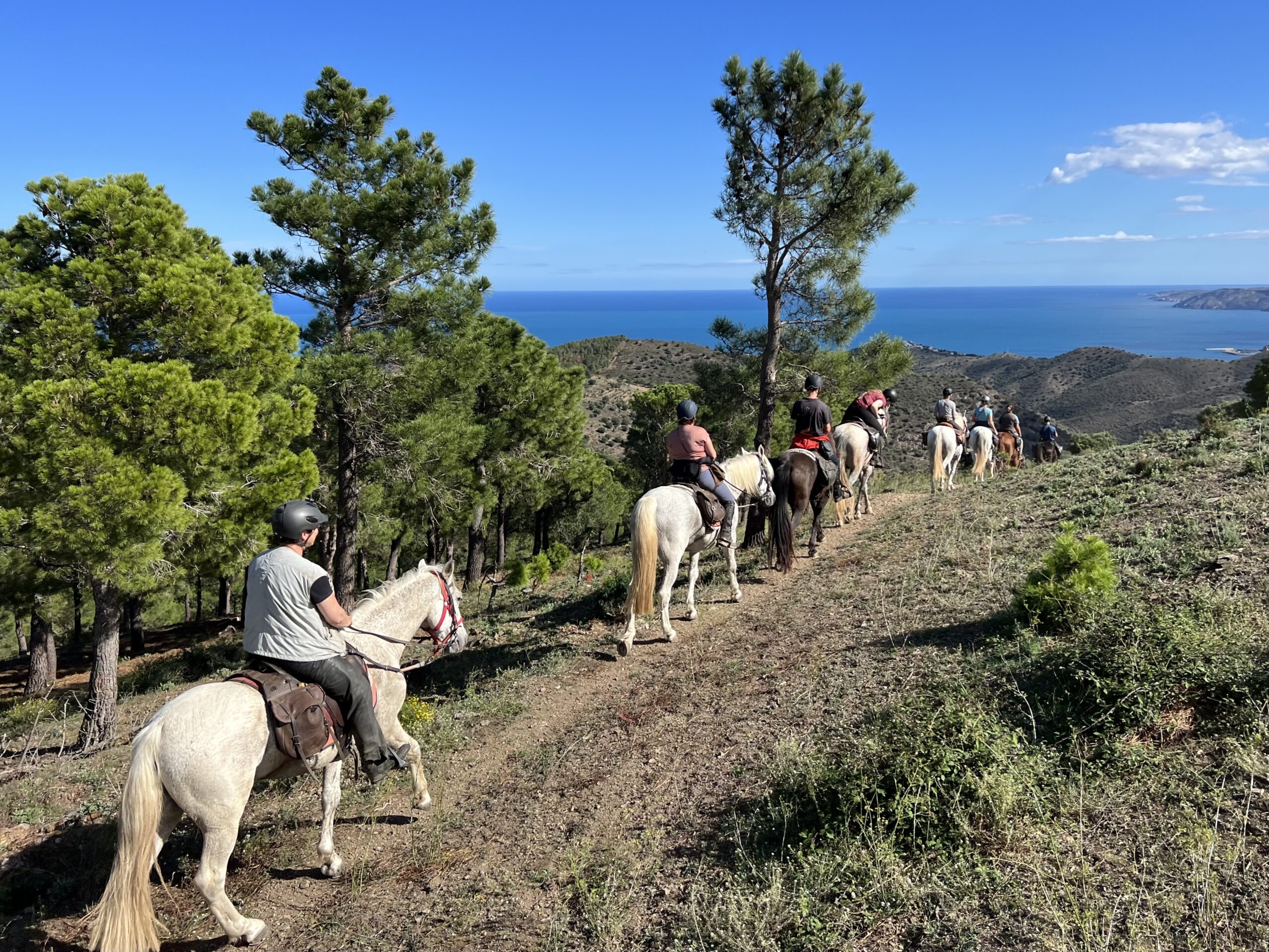 7-daagse paardrijtocht berg en kust grensoverstekend pad - Spanje en Frankrijk - Afbeelding 6