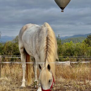7-daagse paardrijtocht berg en kust grensoverstekend pad - Spanje en Frankrijk - Afbeelding 4
