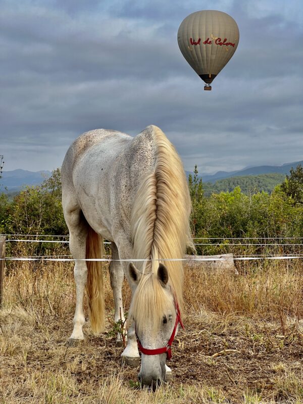 7-daagse paardrijtocht berg en kust grensoverstekend pad - Spanje en Frankrijk
