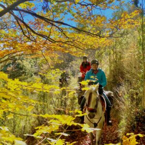 7-daagse paardrijtocht berg en kust grensoverstekend pad - Spanje en Frankrijk - Afbeelding 3