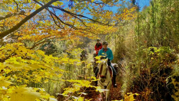 7-daagse paardrijtocht berg en kust grensoverstekend pad - Spanje en Frankrijk