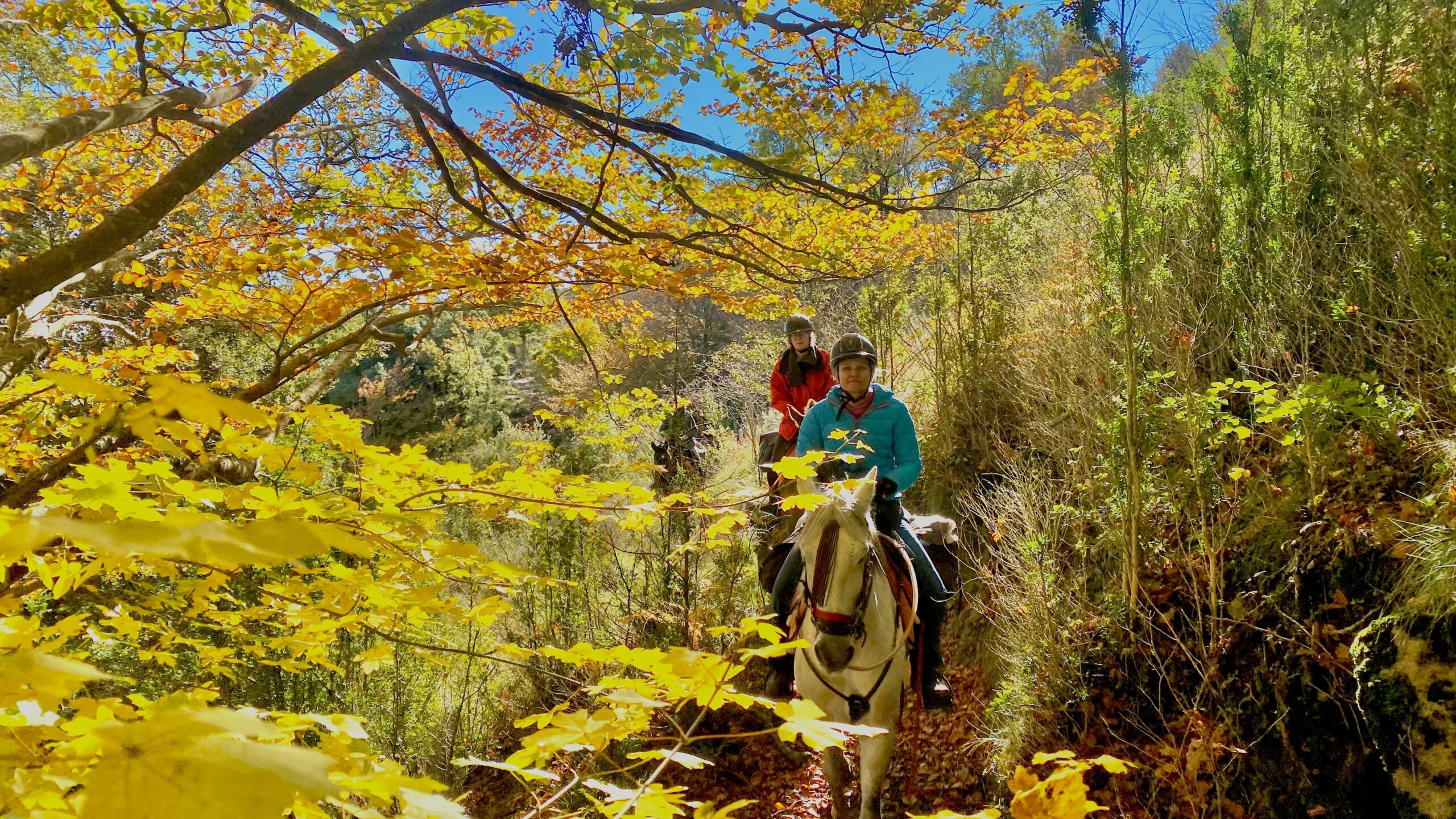 7-daagse paardrijtocht berg en kust grensoverstekend pad - Spanje en Frankrijk - Afbeelding 3