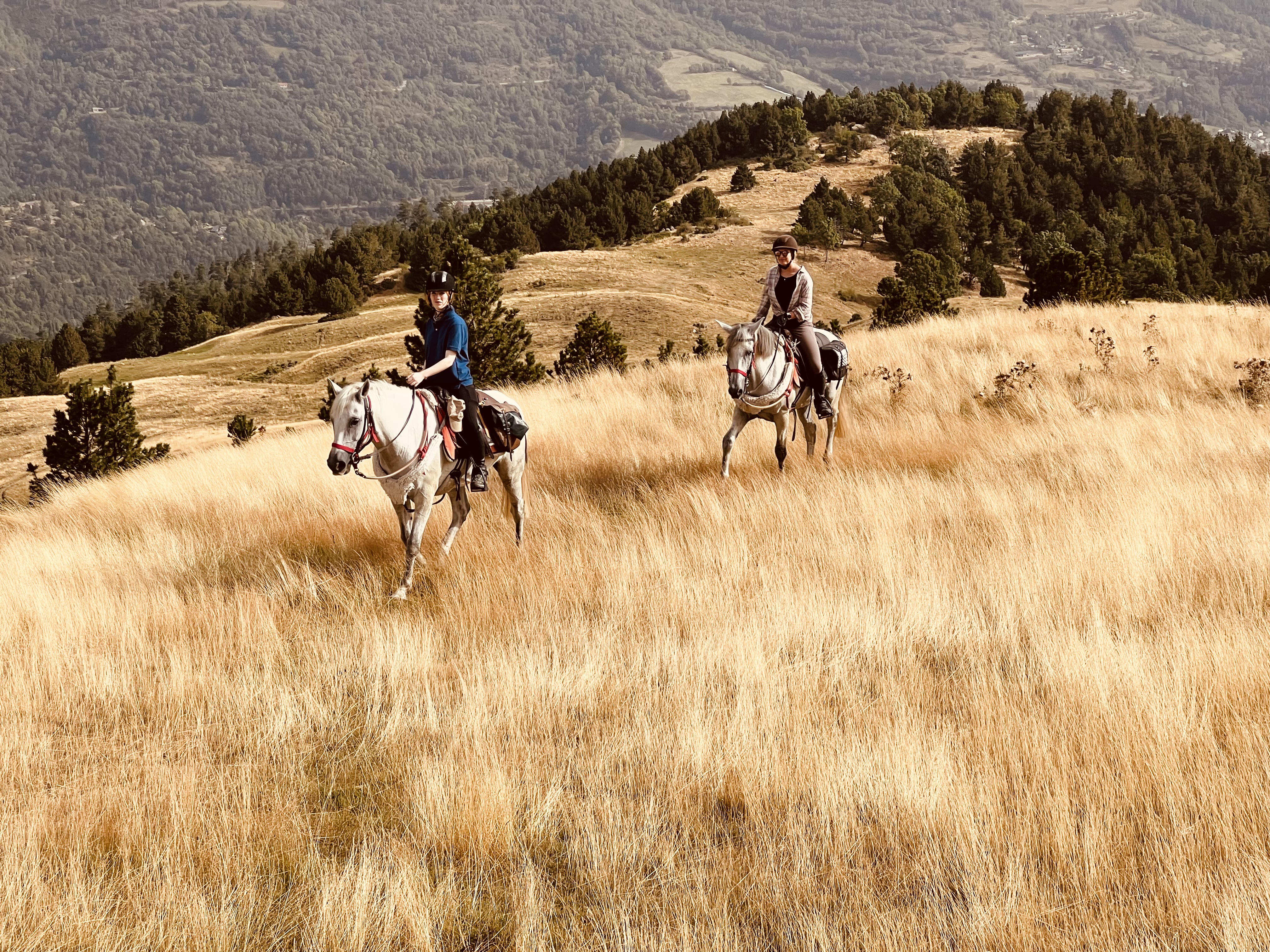 8-daagse paardrijtocht Pyreneeën-topklim - Spanje en Andorra - Afbeelding 3