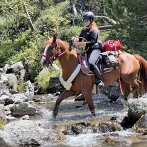 8-daagse paardrijtocht Pyreneeën-topklim - Spanje en Andorra - Afbeelding 6