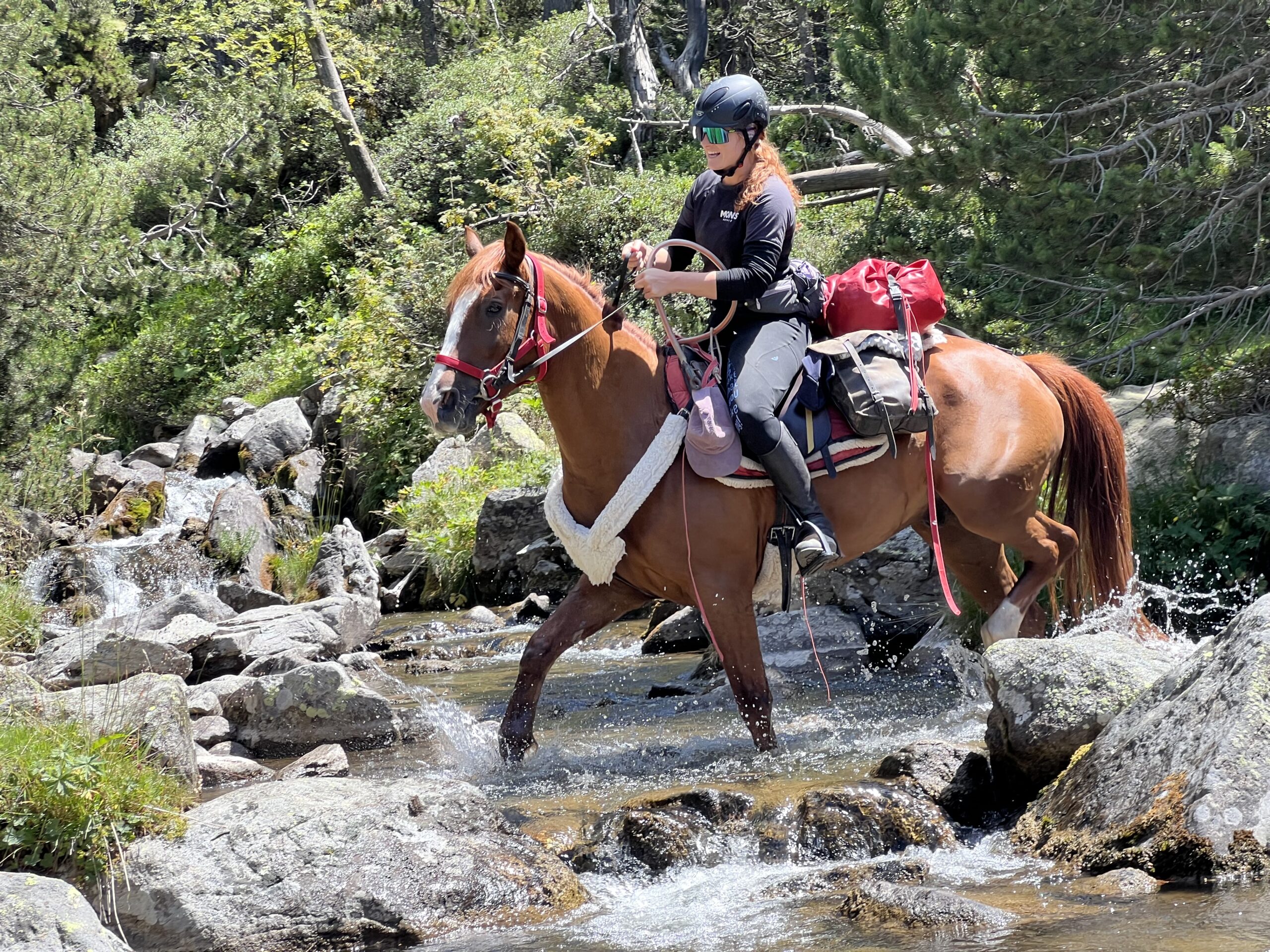 8-daagse paardrijtocht Pyreneeën-topklim - Spanje en Andorra - Afbeelding 6