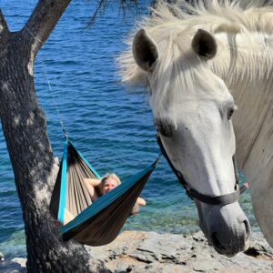 7-daagse paardrijtocht kusttocht langs de Costa Brava - Spanje - Afbeelding 7