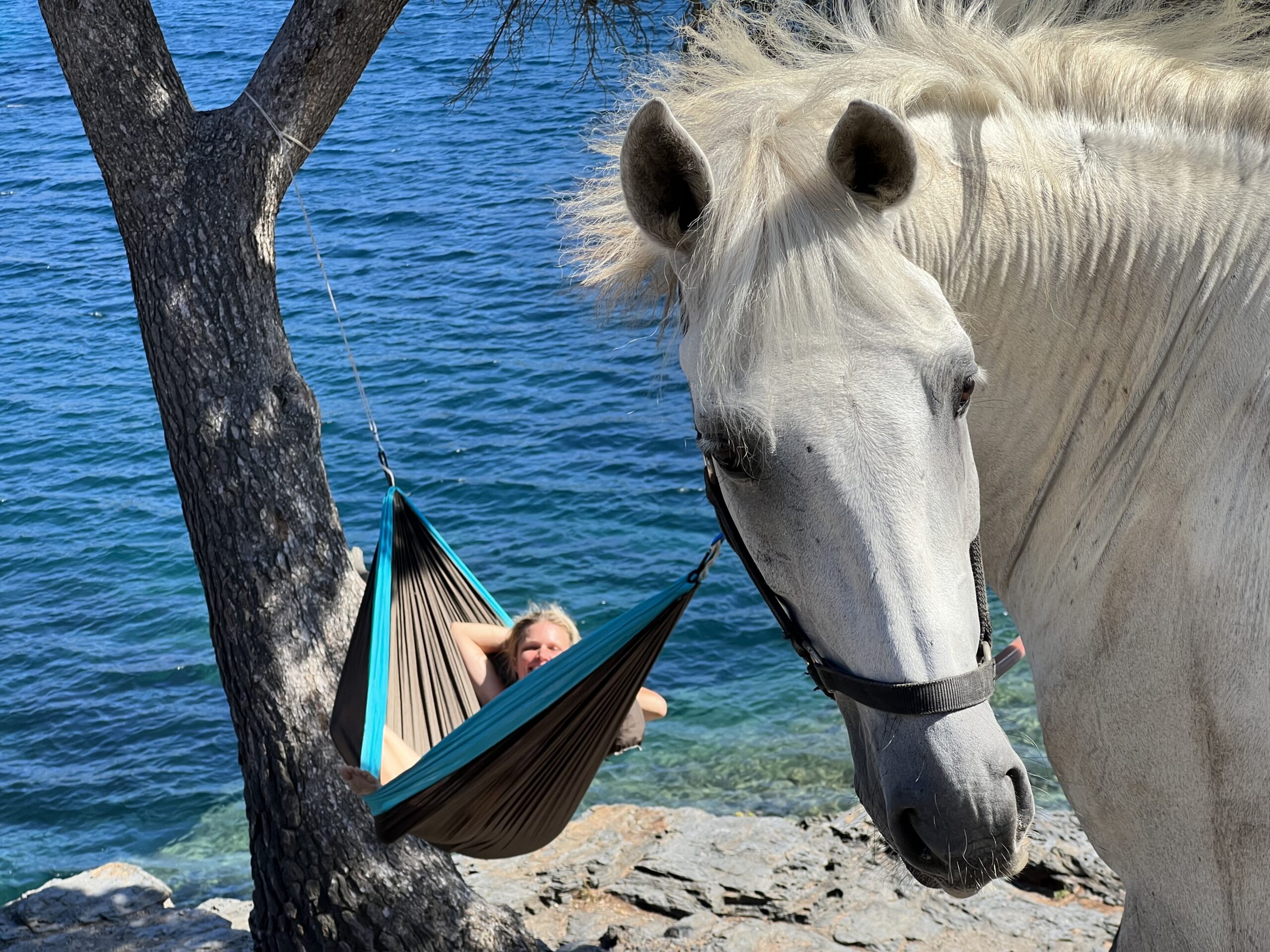 7-daagse paardrijtocht kusttocht langs de Costa Brava - Spanje - Afbeelding 7