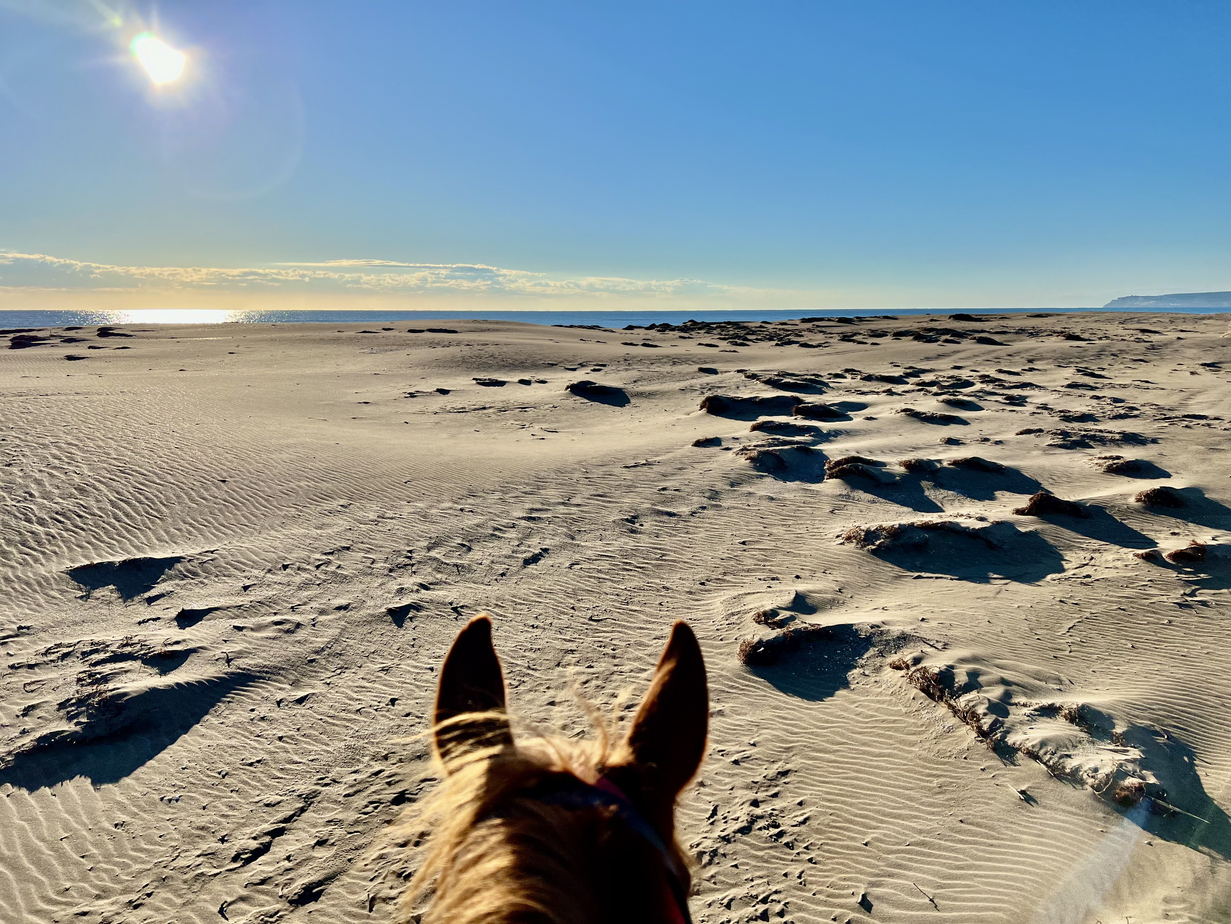 7-daagse paardrijtocht kusttocht langs de Costa Brava - Spanje - Afbeelding 5