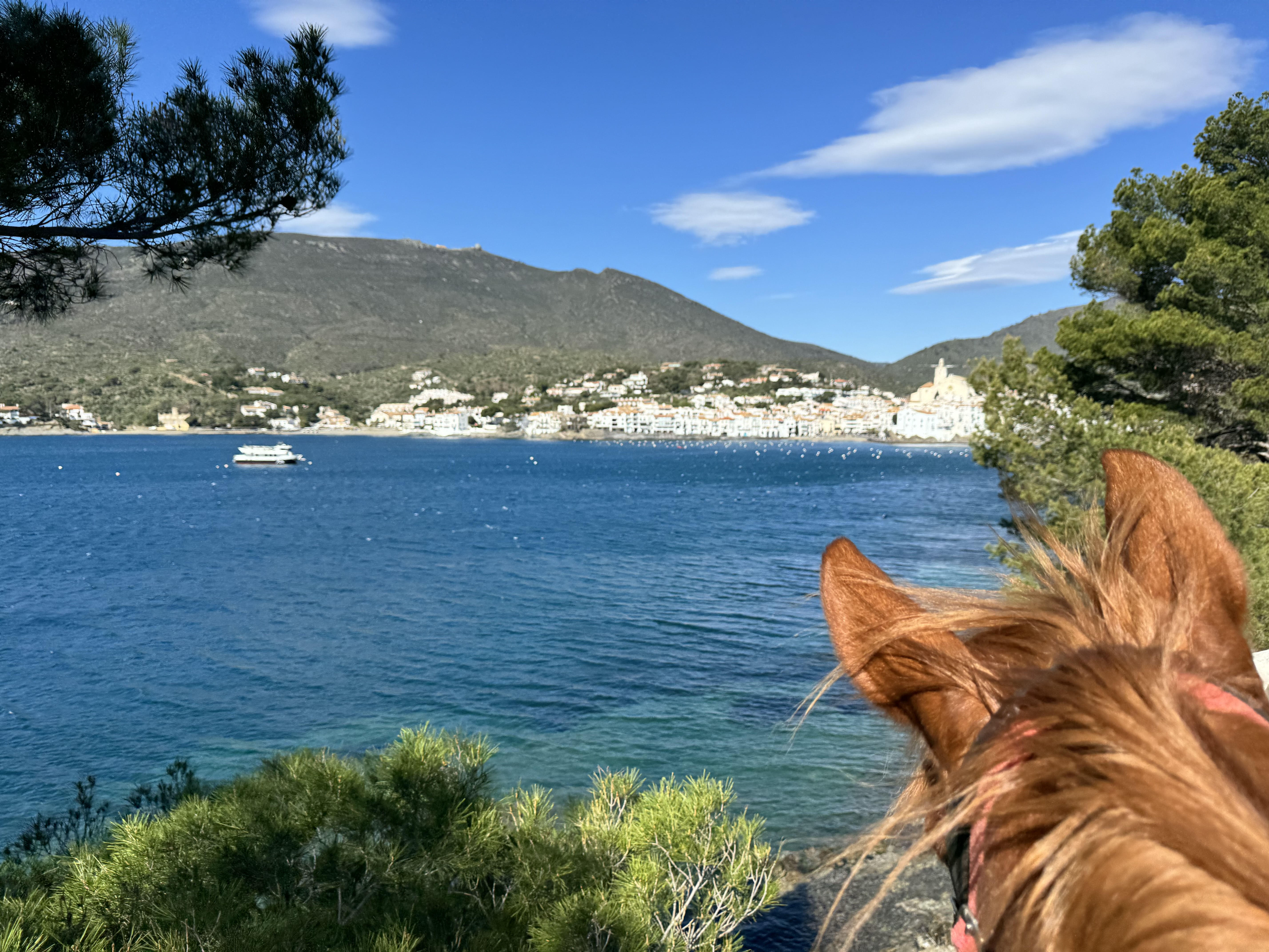 7-daagse paardrijtocht kusttocht langs de Costa Brava - Spanje - Afbeelding 4