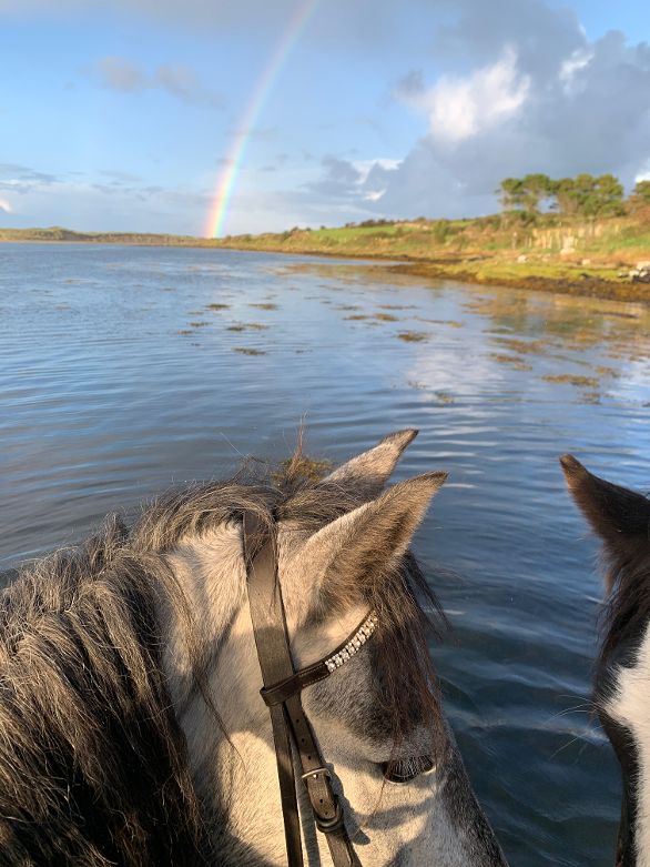 7-daagse paardrijtocht Atlantic Trail  – Ierland