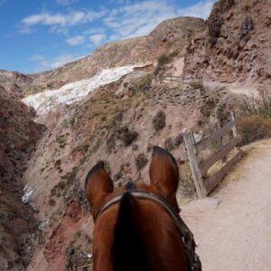 6-daagse paardrijtocht Comfort Andes Explore - Peru - Afbeelding 5