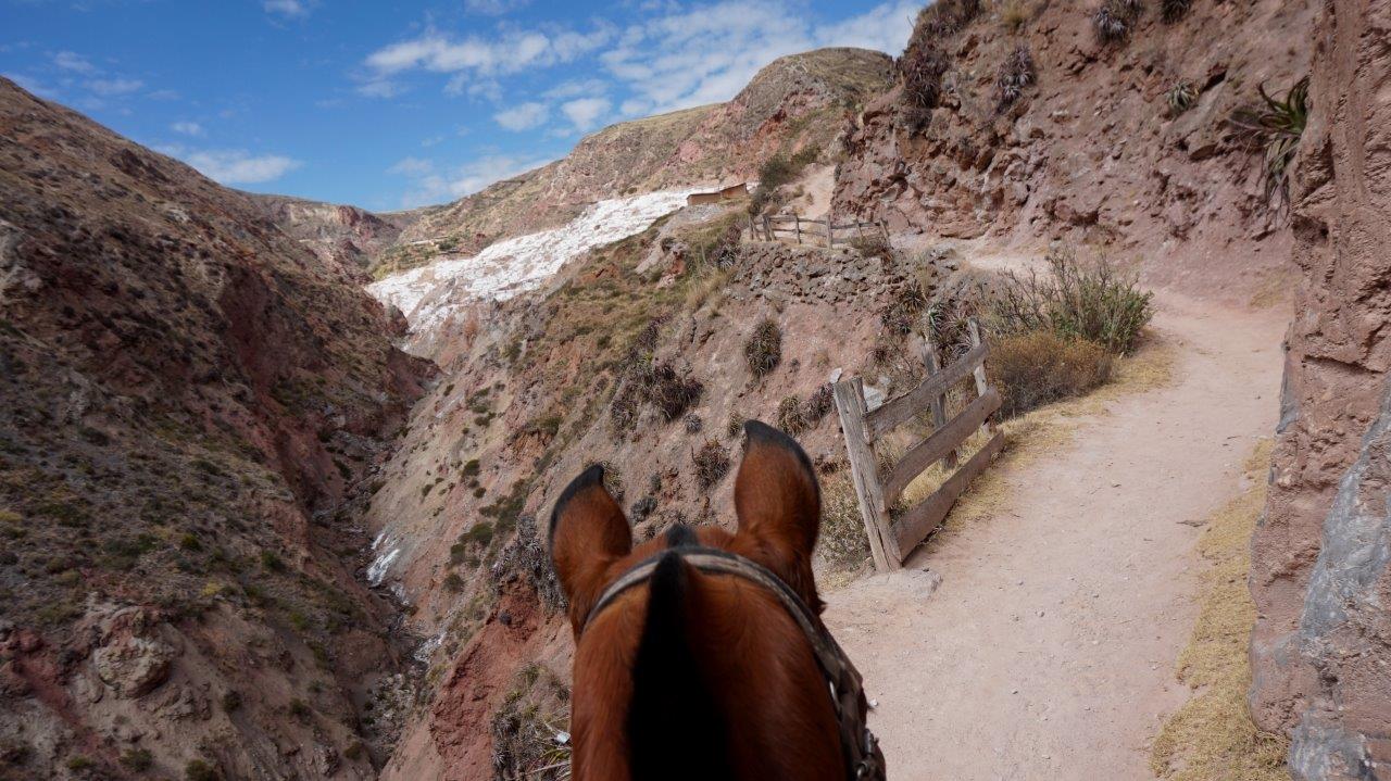 6-daagse paardrijtocht Comfort Andes Explore - Peru