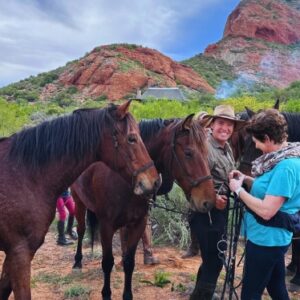 4-daagse paardrijtocht Swartberg Mountains - Klein Karoo - Afbeelding 2