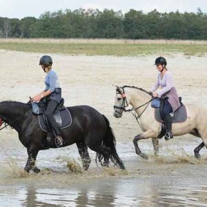 Paardrijkamp met je eigen paard voor ouder & kind Westerveld Drenthe - Nederland - Afbeelding 4