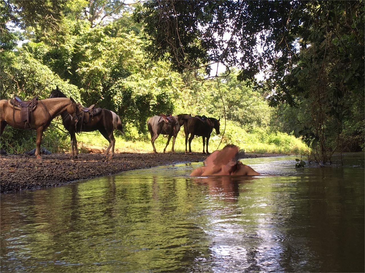 8-daagse Paardrijdtocht bergen, vulkanen, regenwoud - Costa Rica