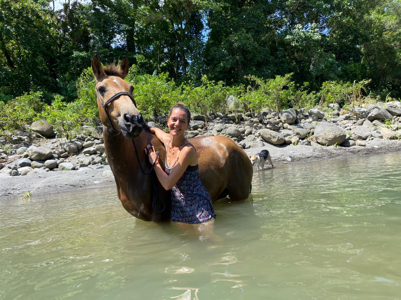 10-daagse Paardrijdtocht van berglandschappen naar de Pacifische kust - Costa Rica