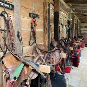 10-daagse Paardrijdtocht van berglandschappen naar de Pacifische kust - Costa Rica - Afbeelding 3
