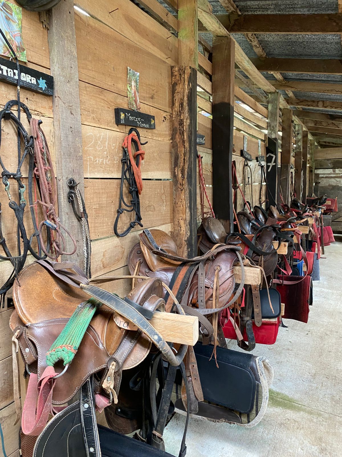 10-daagse Paardrijdtocht van berglandschappen naar de Pacifische kust - Costa Rica