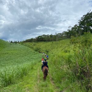 8-daagse Paardrijdtocht bergen, vulkanen, regenwoud - Costa Rica - Afbeelding 2