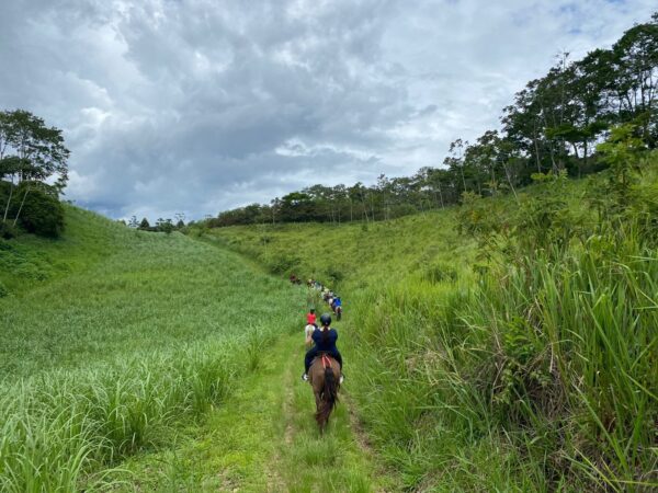 8-daagse Paardrijdtocht bergen, vulkanen, regenwoud - Costa Rica